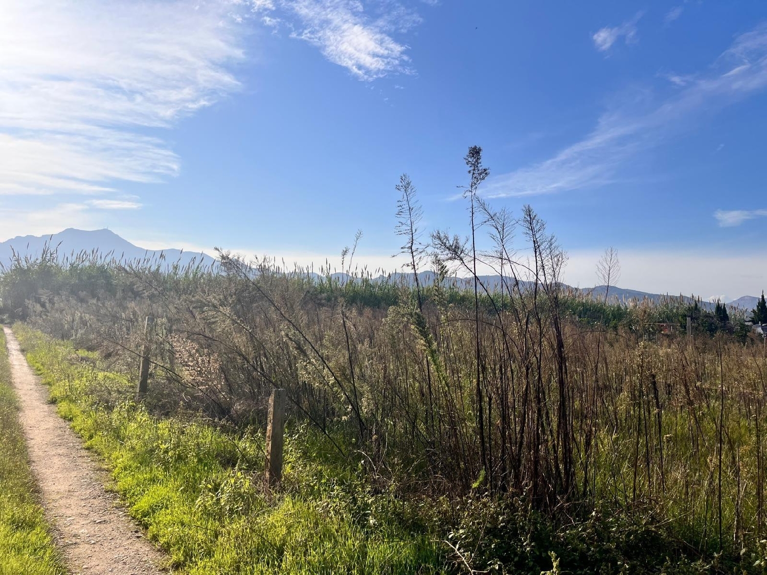  kaufen Haus Gandía 46701 Safor 5