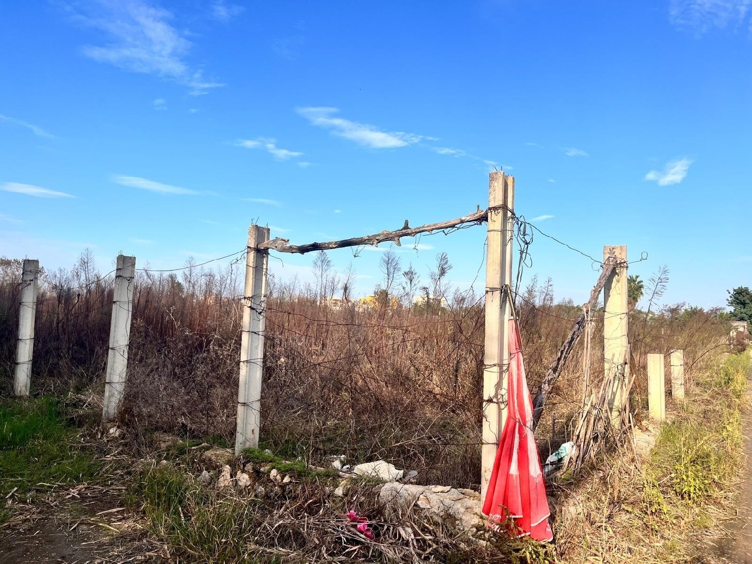  kaufen Haus Gandía 46701 Safor 3