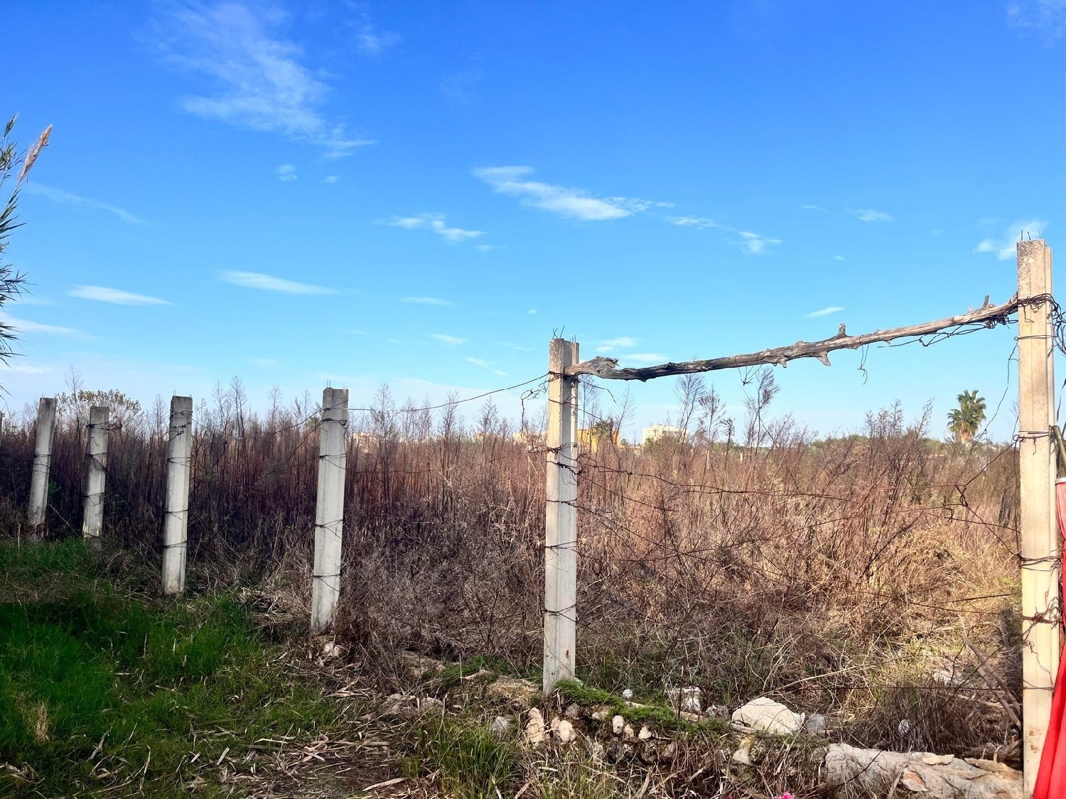  kaufen Haus Gandía 46701 Safor 2