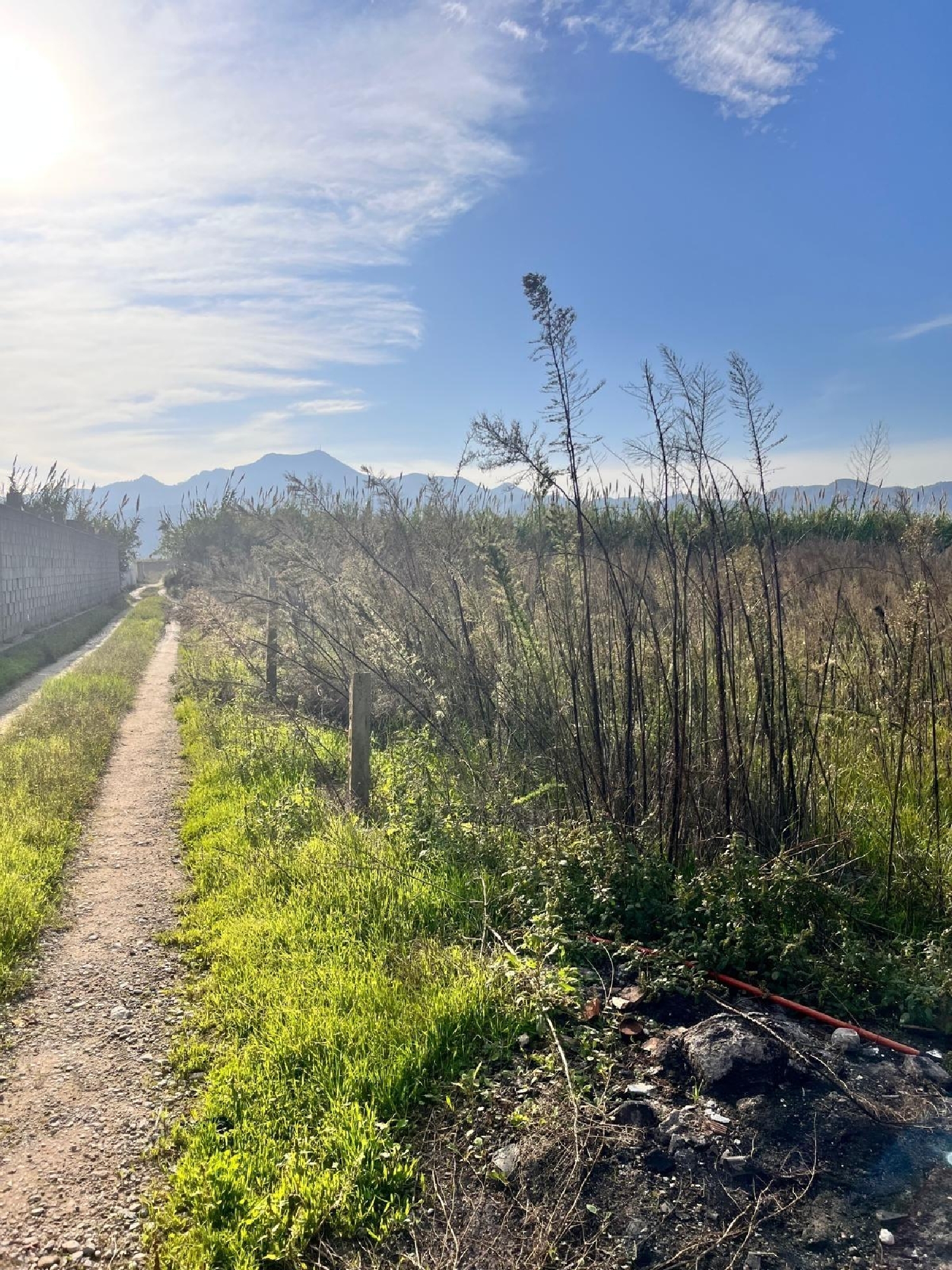  kaufen Haus Gandía 46701 Safor 4