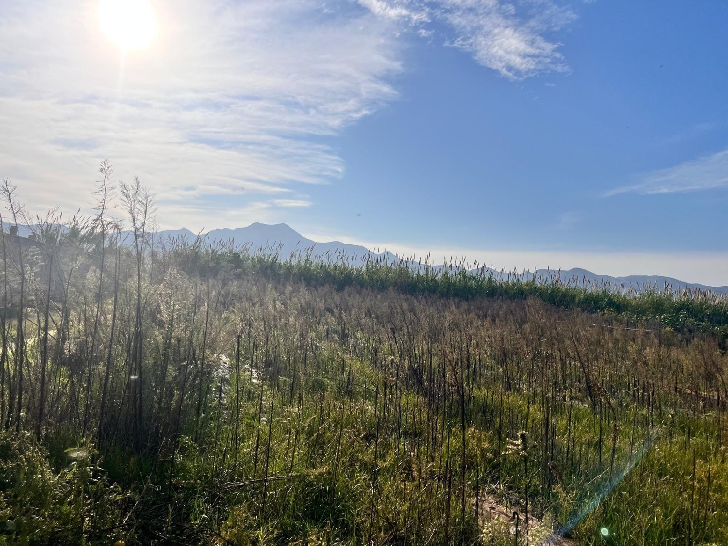  kaufen Haus Gandía 46701 Safor 6