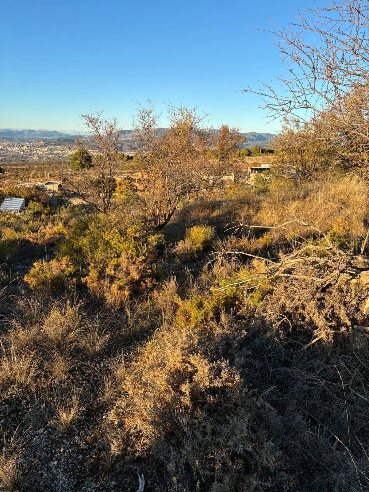kaufen Haus Gójar Vega De Granada 4