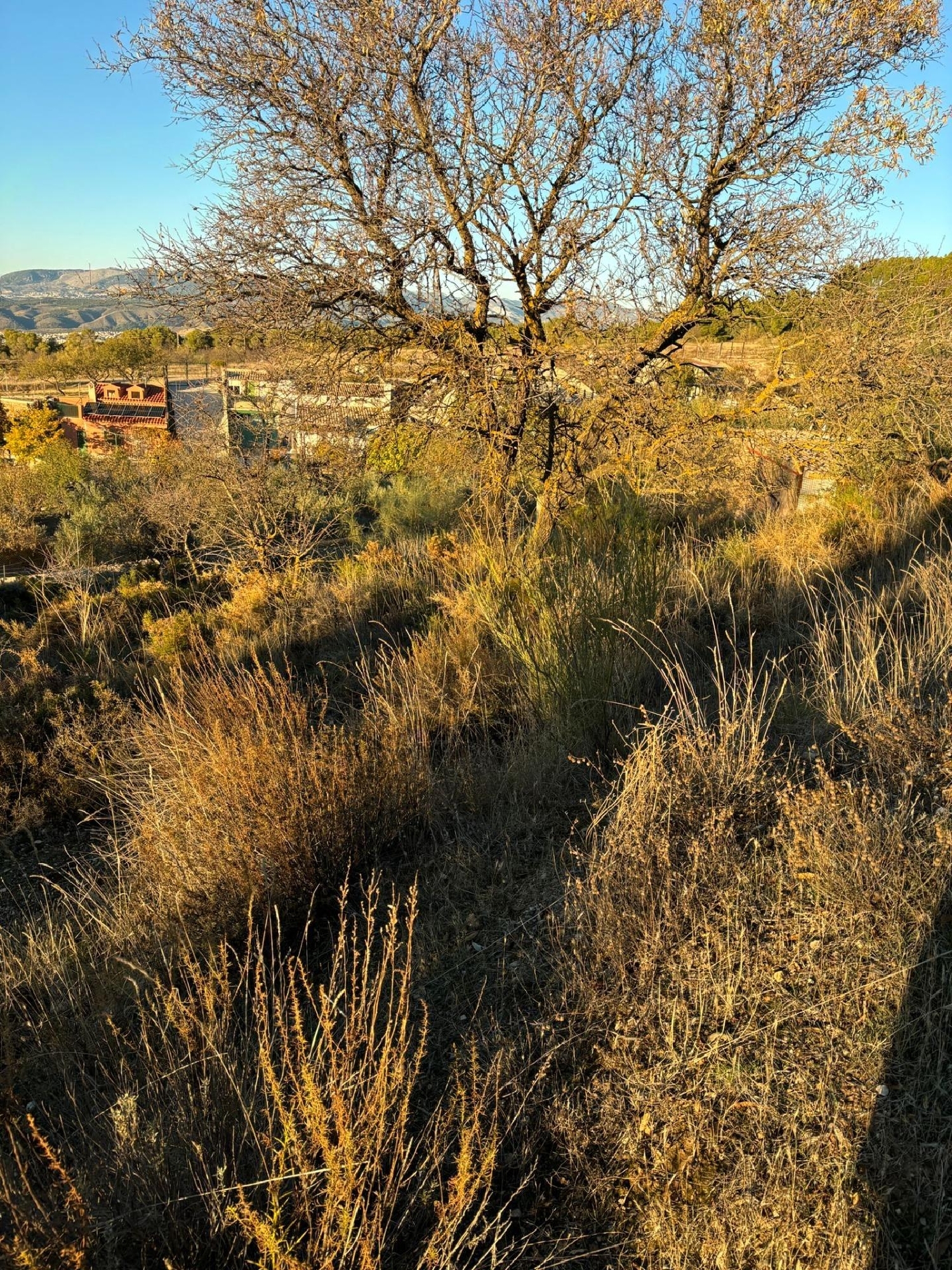 kaufen Haus Gójar Vega De Granada 5