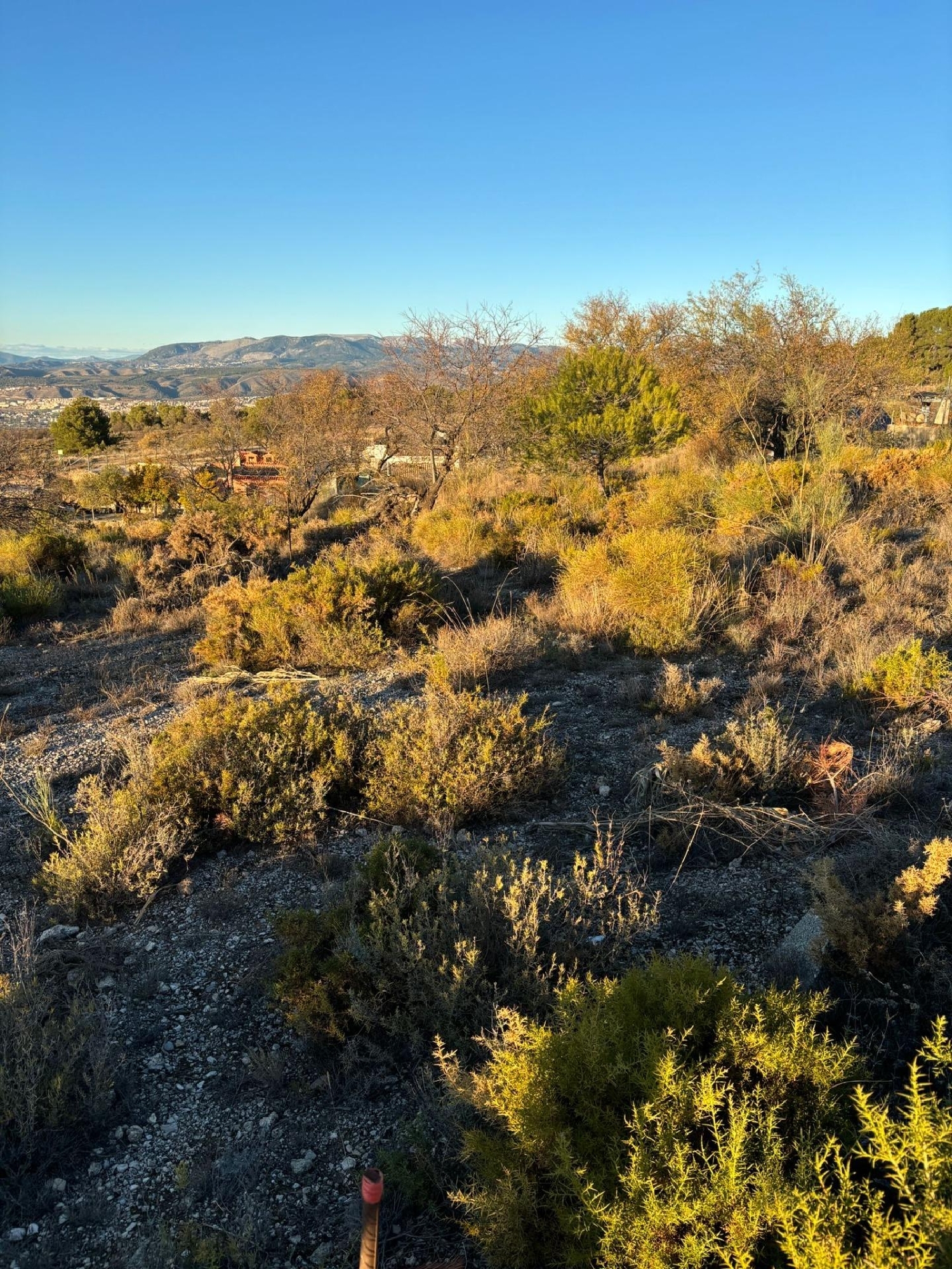  for sale house Gójar Vega De Granada 3