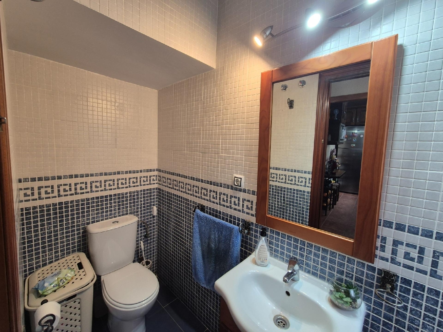 for sale house Guadalcazar Valle Medio Del Guadalquivir 4