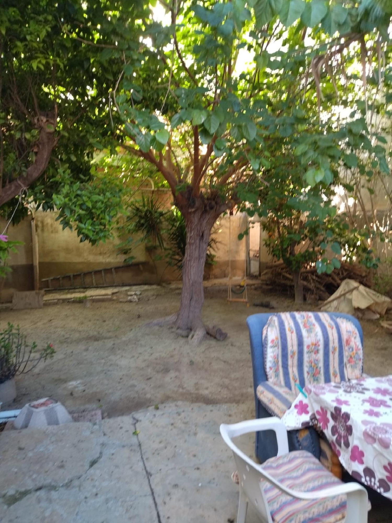 à vendre maison Guardamar Del Segura Baix Segura 2