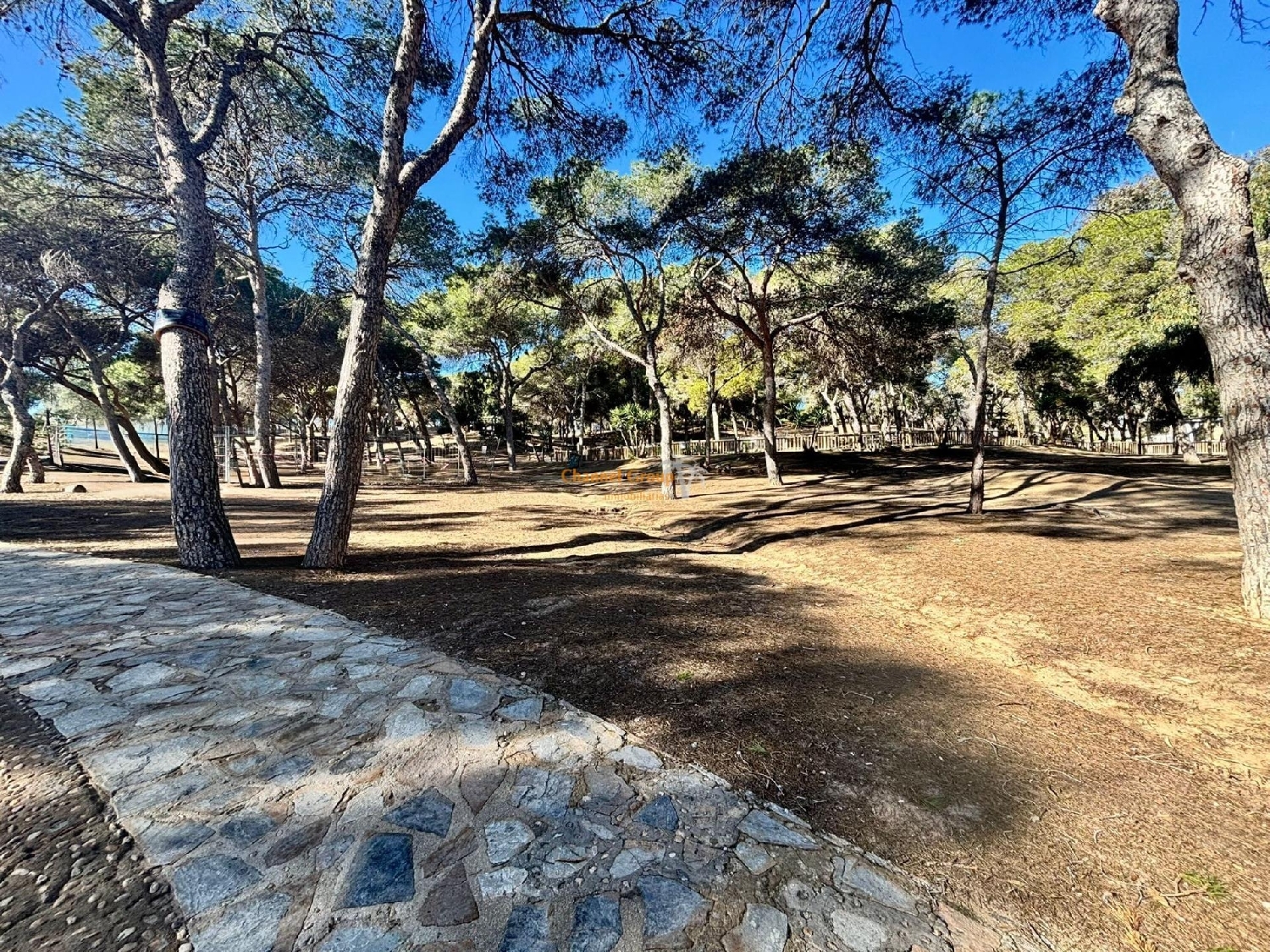 à vendre maison Guardamar Del Segura Baix Segura 3