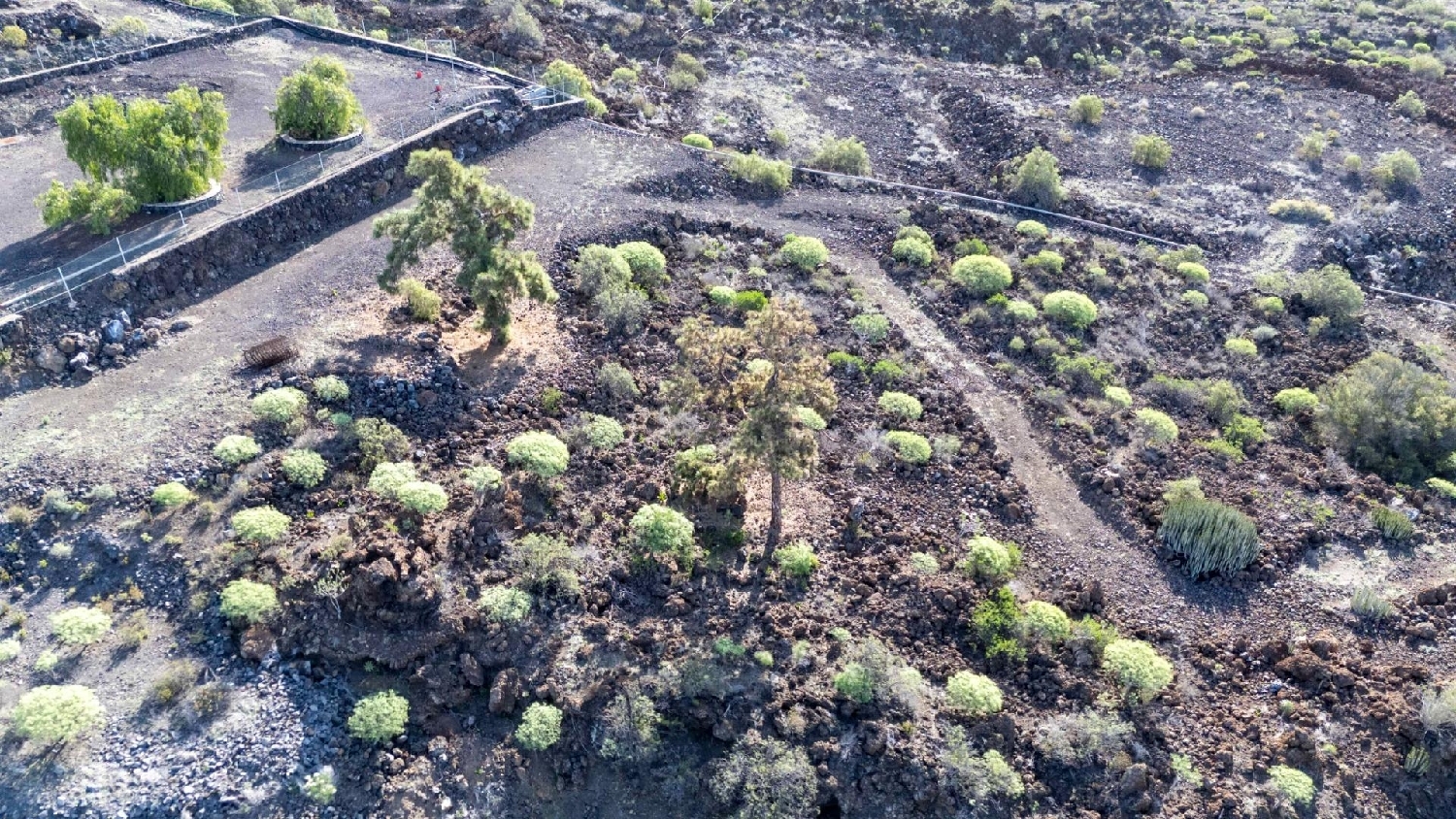 till salu hus Guía De Isora Zona Suroeste 4