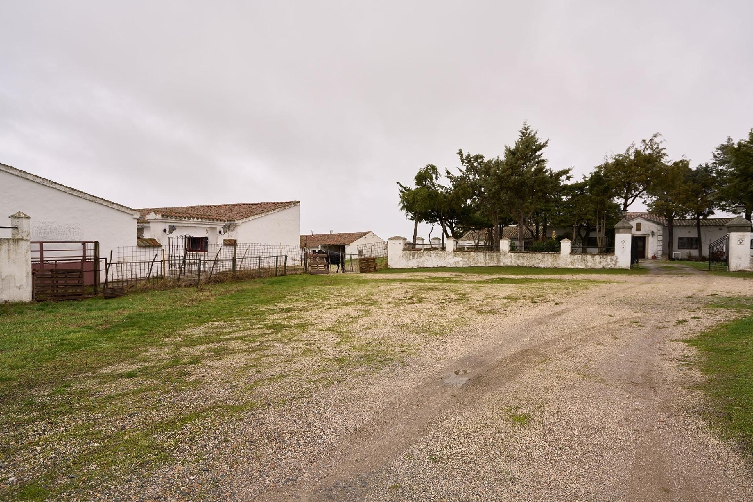  for sale house Horcajo-Medianero Tierra De Alba 4