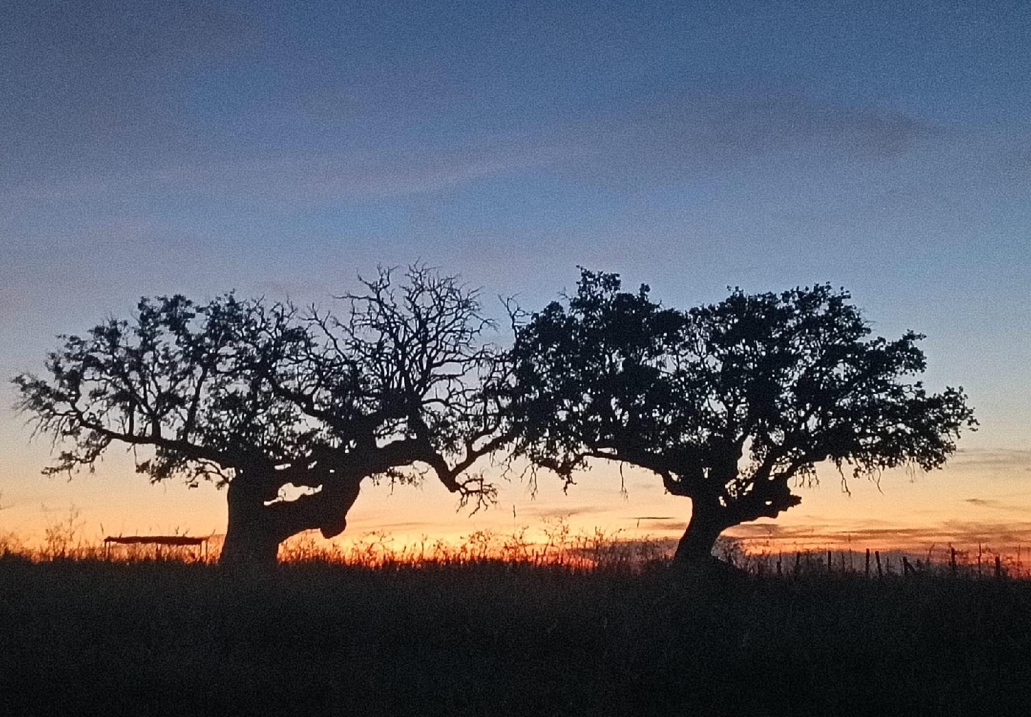  for sale house Horcajo-Medianero Tierra De Alba 3