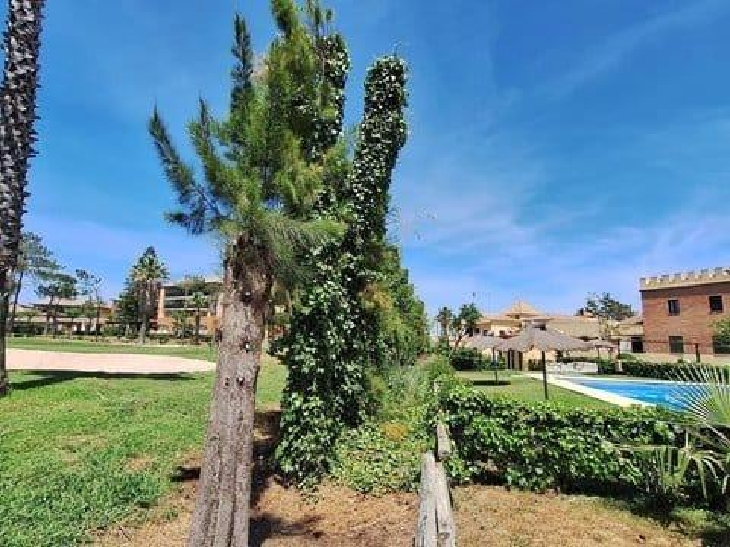 for sale house Islantilla Costa Occidental 6