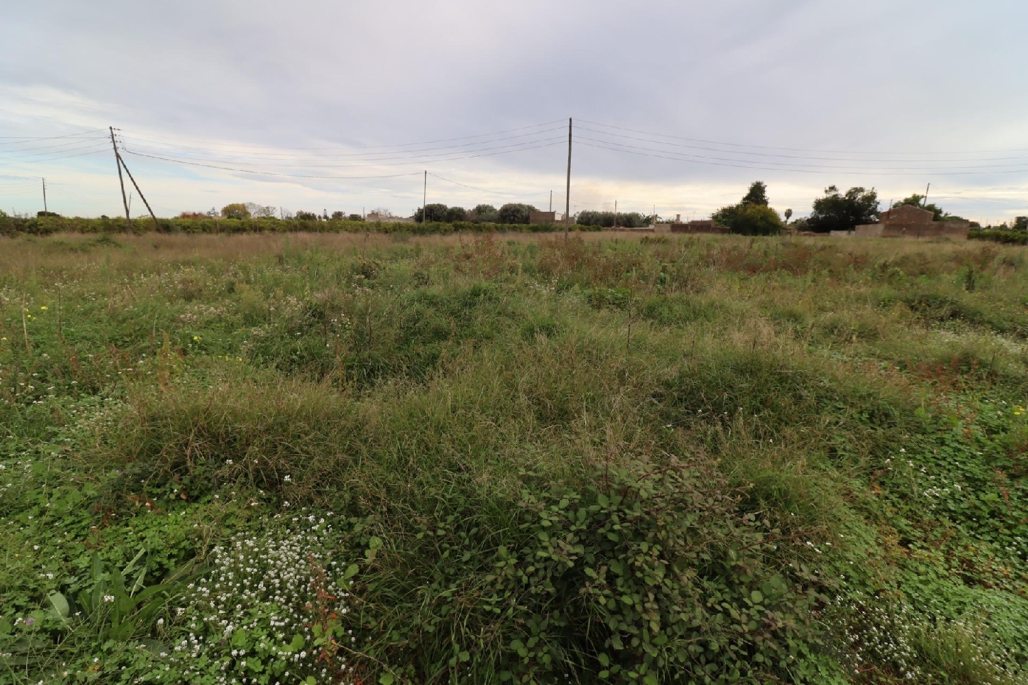  te koop huis La Alcanara Y Los Búcanos Alto Guadalentín 6