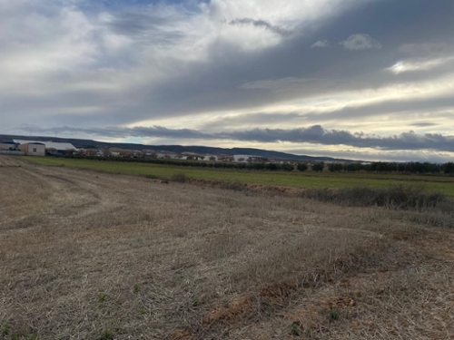 La Malahá Alhama house foto 6339813