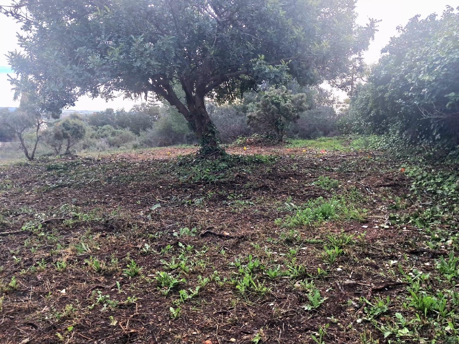  till salu hus La Pobla De Vallbona Camp De Túria 5