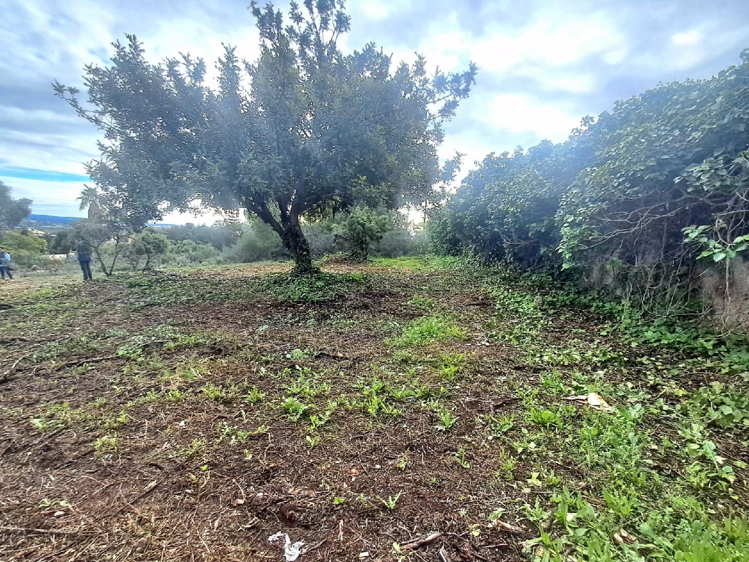  till salu hus La Pobla De Vallbona Camp De Túria 7