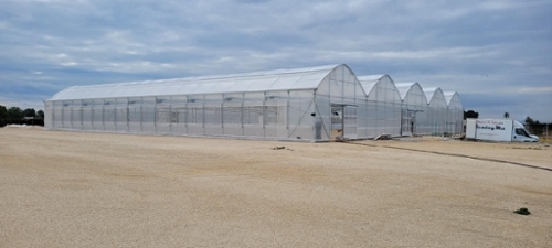 Las Bayas Baix Vinalopó huis foto 6326104