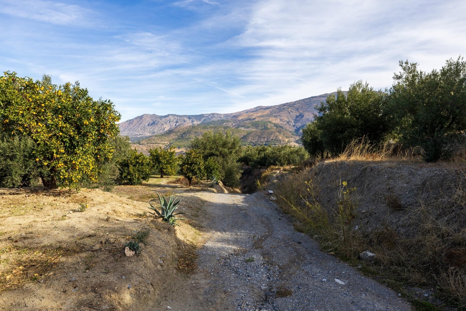  te koop huis Lecrín Valle De Lecrín 3