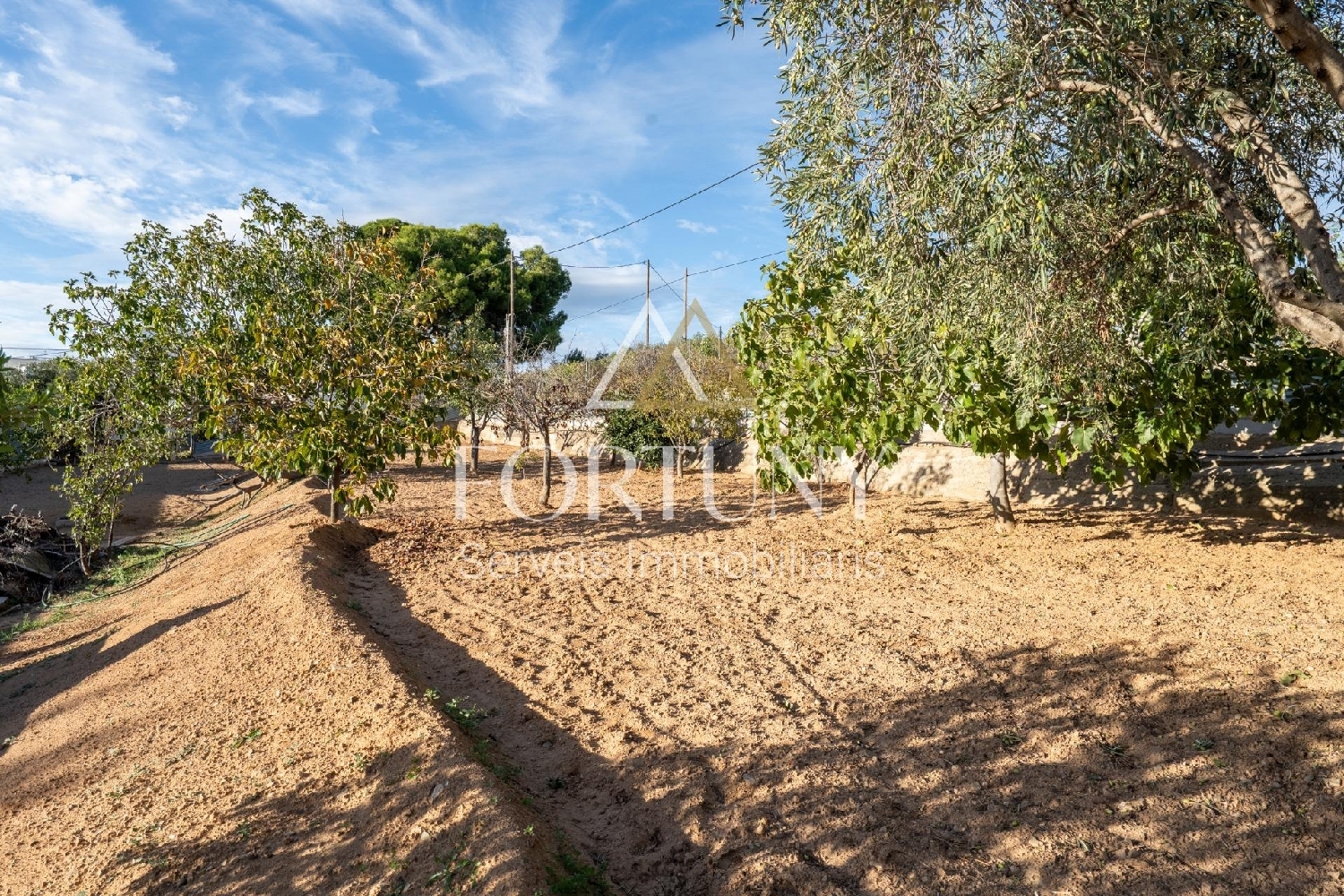  en venta casa Les Borges Del Camp Baix Camp 8