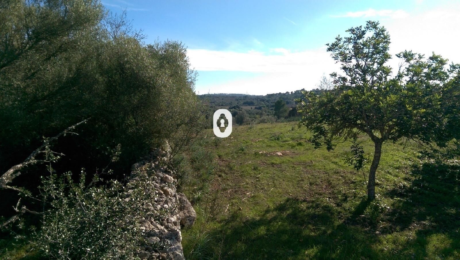  kaufen Haus Llubí Pla (Es) 5