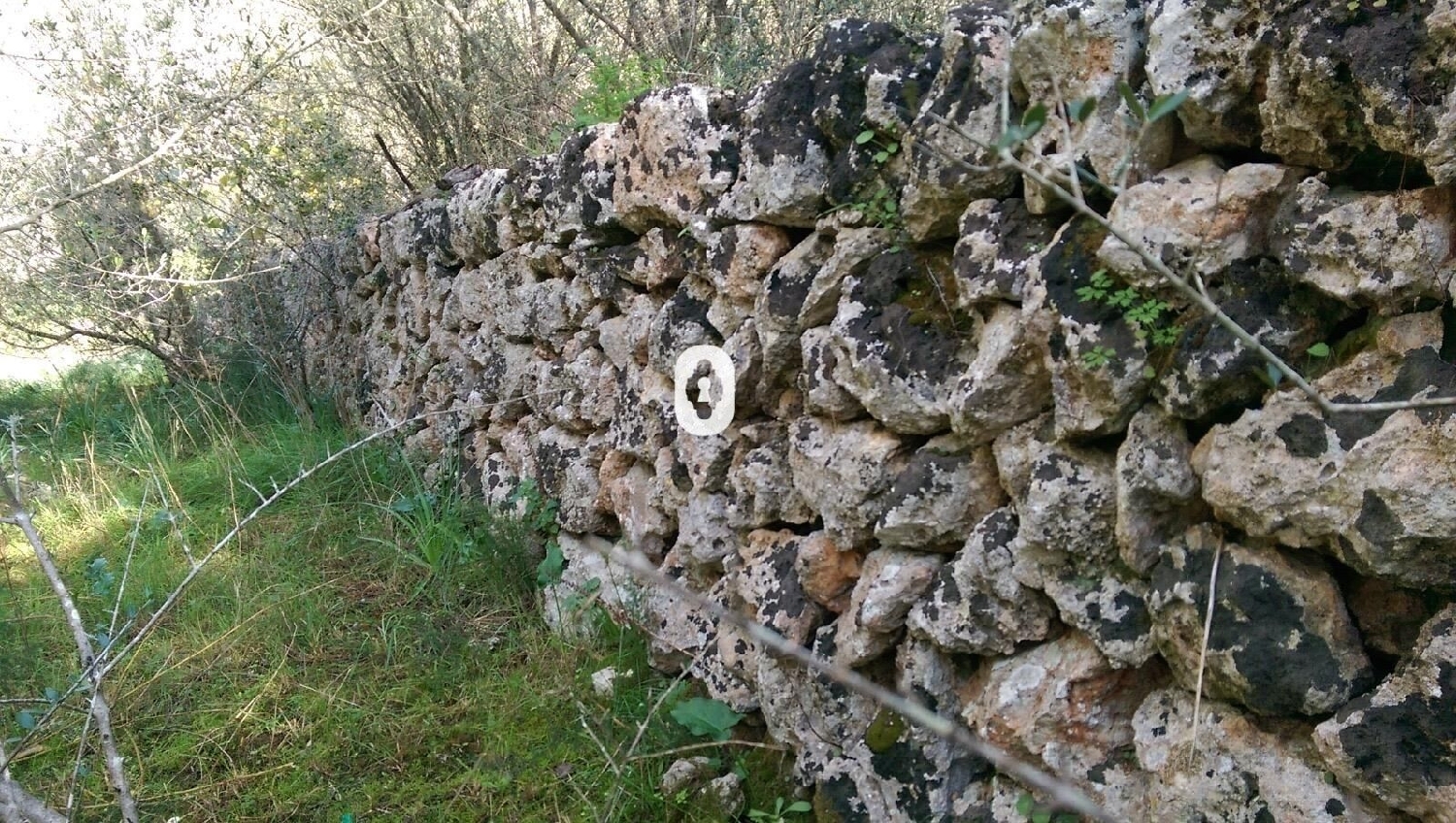  kaufen Haus Llubí Pla (Es) 7