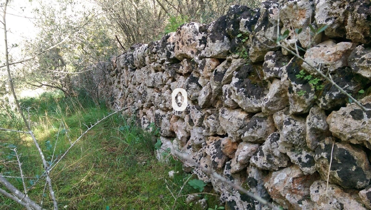  kaufen Haus Llubí Pla (Es) 6