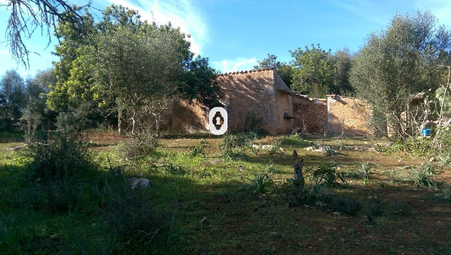  kaufen Haus Llubí Pla (Es) 1