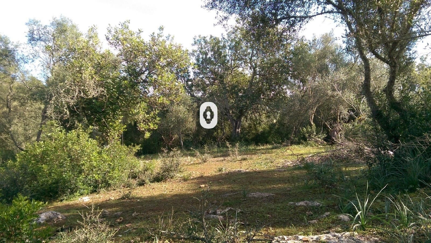  kaufen Haus Llubí Pla (Es) 8