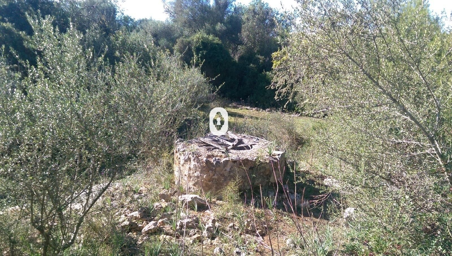  kaufen Haus Llubí Pla (Es) 4