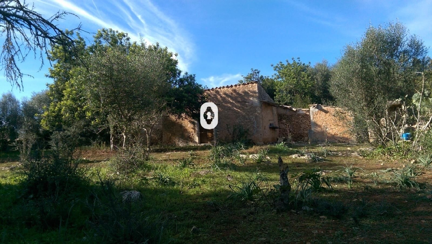  kaufen Haus Llubí Pla (Es) 2