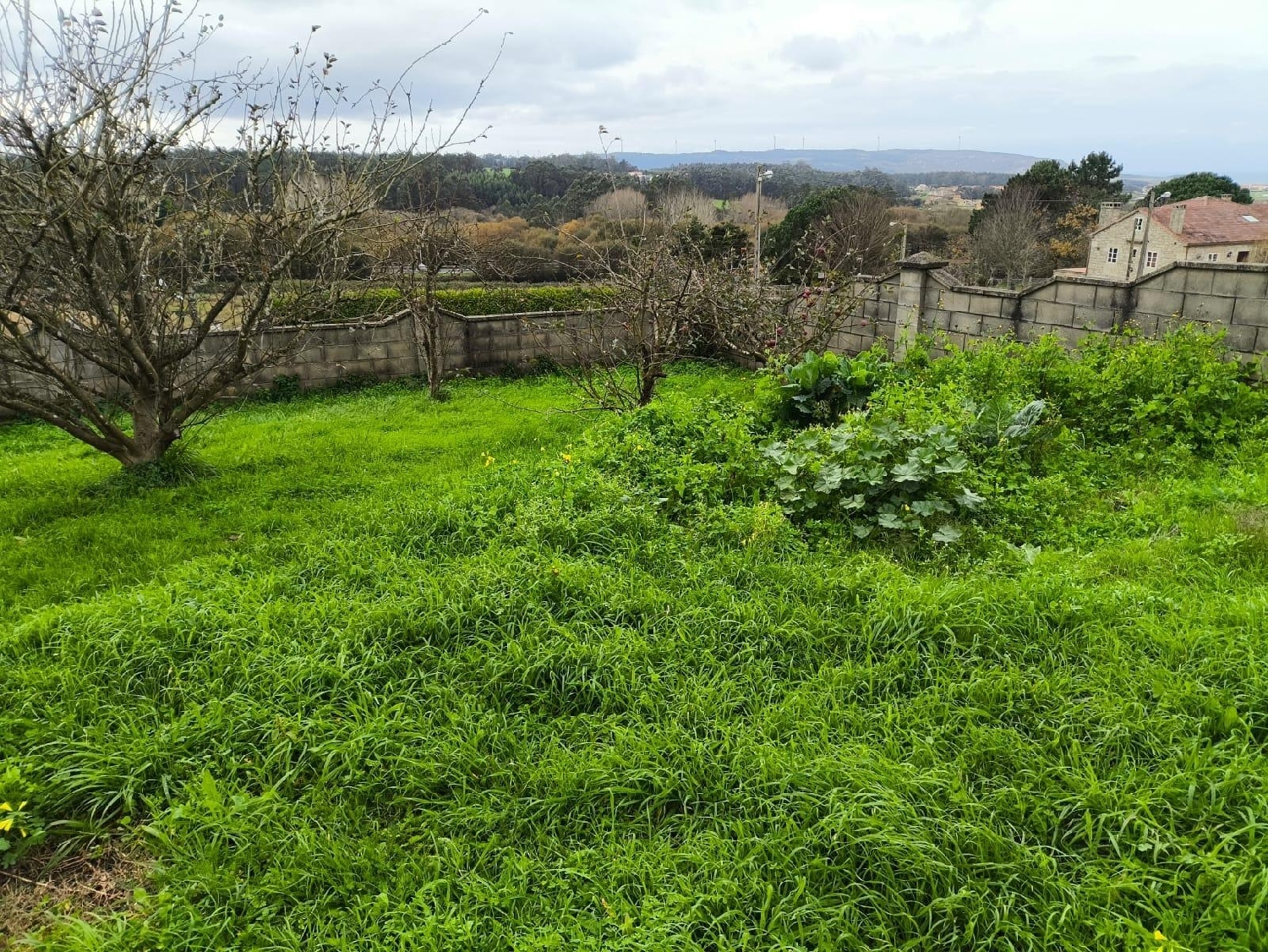  te koop huis Malpica De Bergantiños Bergantiños 8