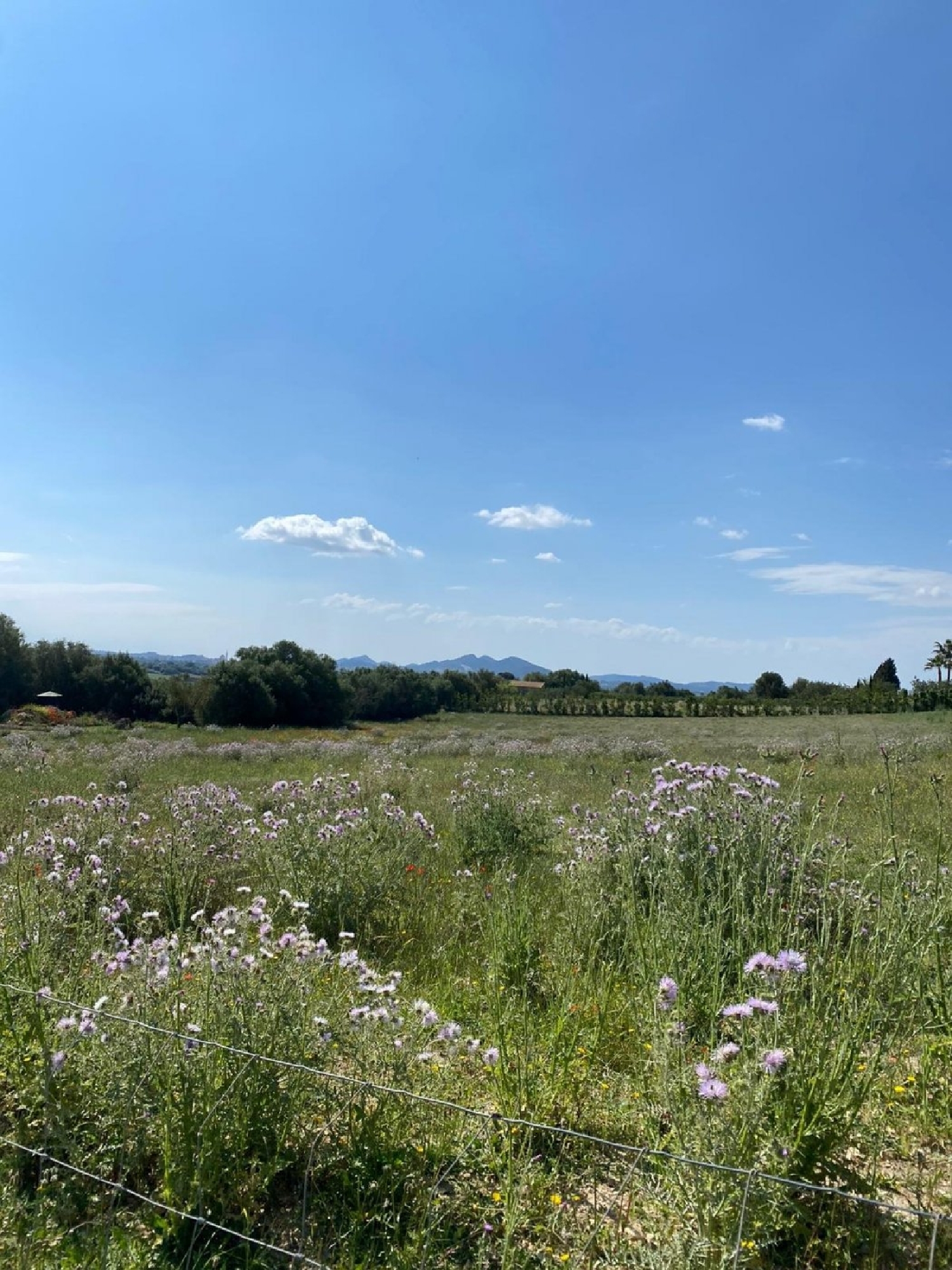 te koop huis Manacor Llevant 2