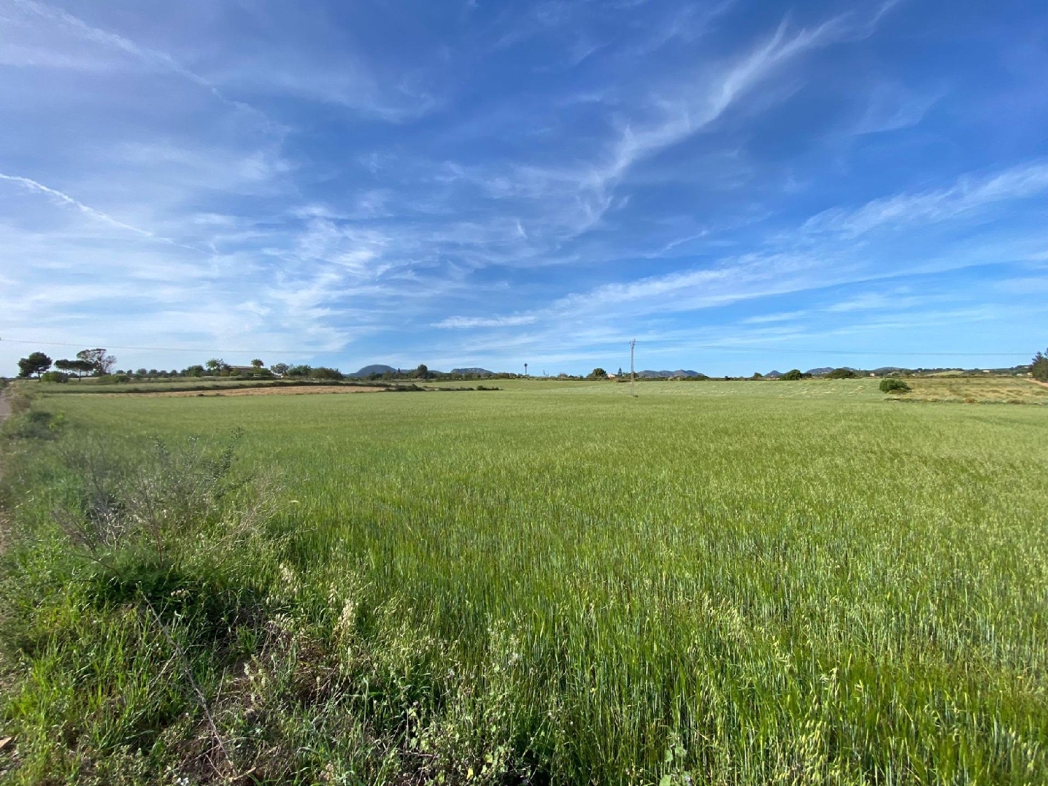 te koop huis Manacor Llevant 3