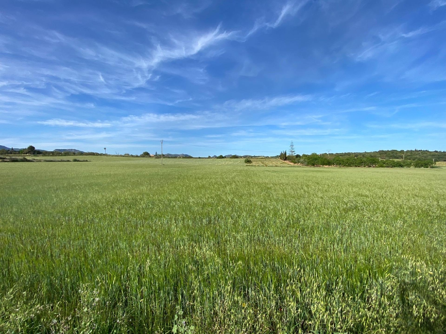 te koop huis Manacor Llevant 1