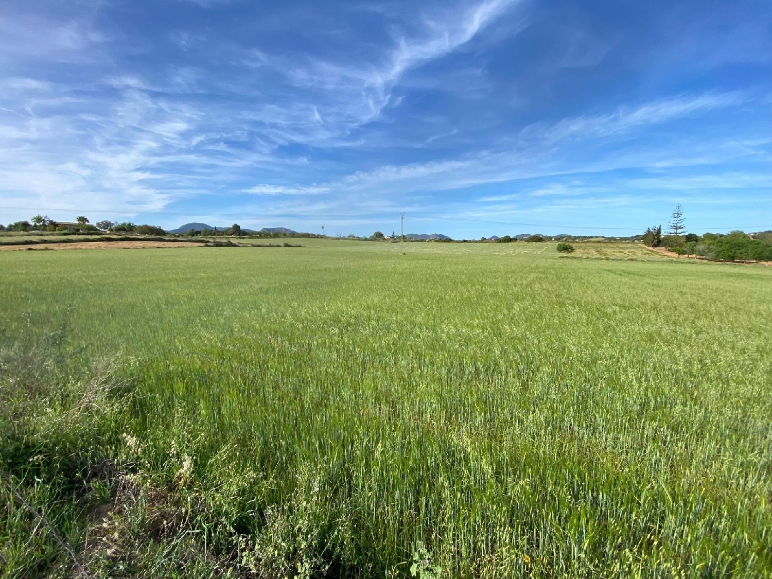 te koop huis Manacor Llevant 4