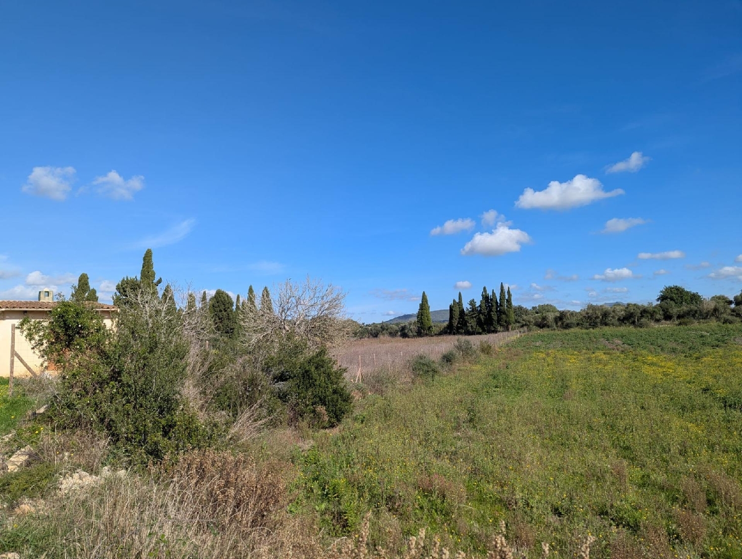  en venta casa Manacor Llevant 6