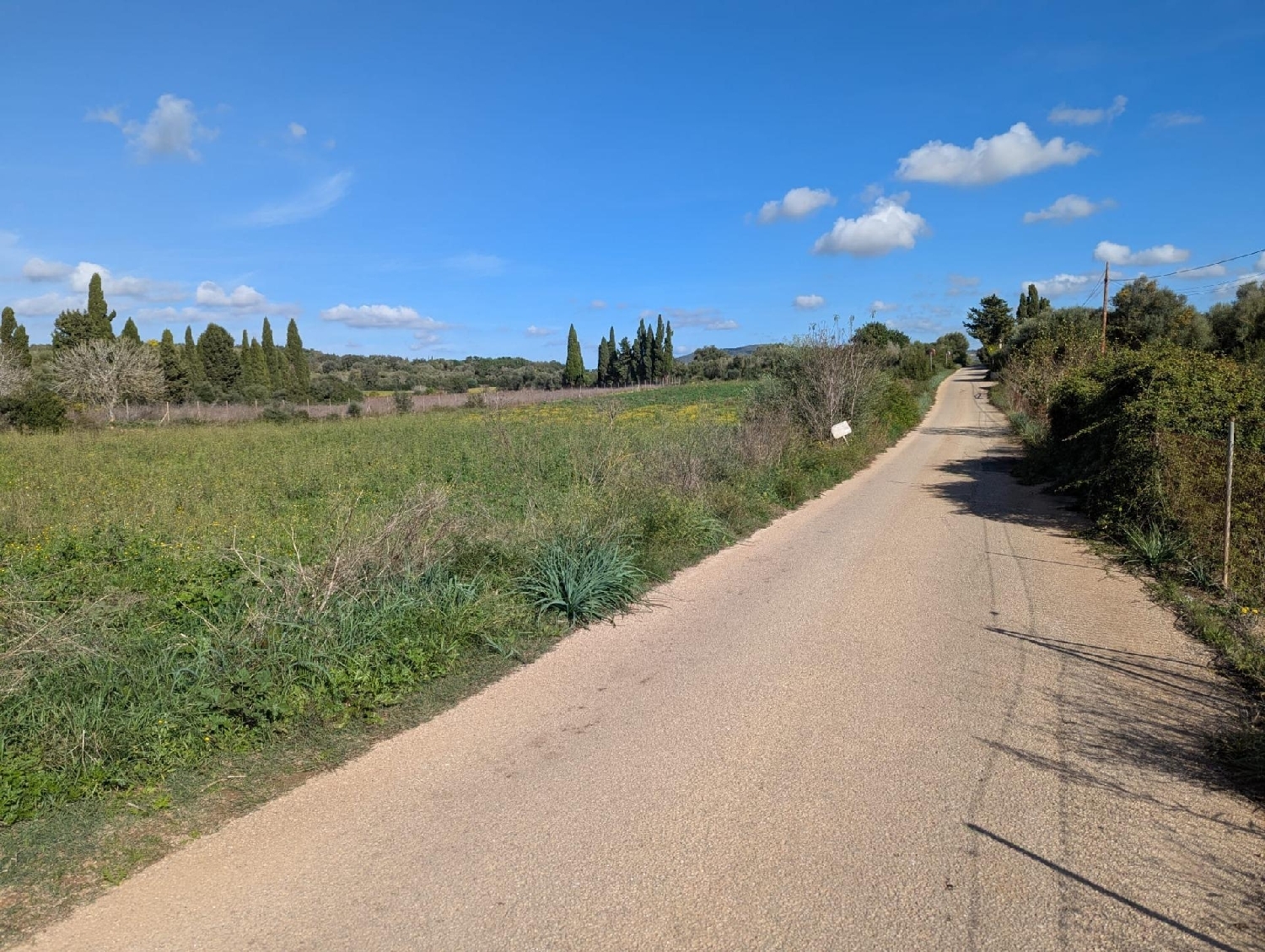  en venta casa Manacor Llevant 7