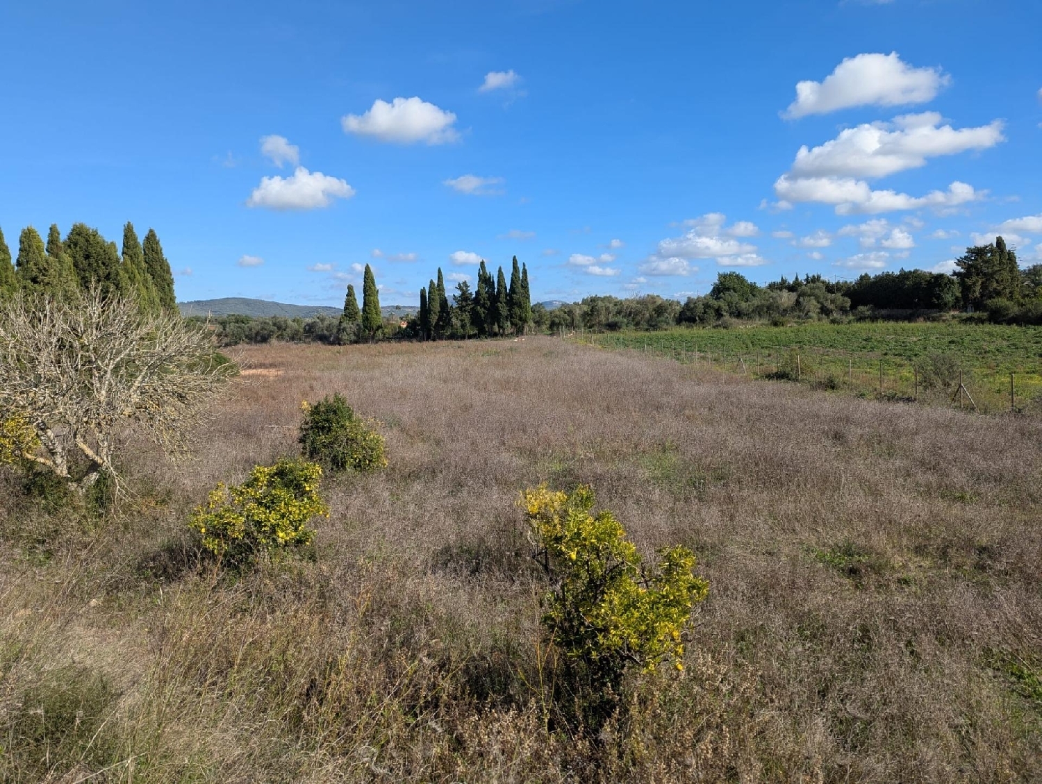  en venta casa Manacor Llevant 8