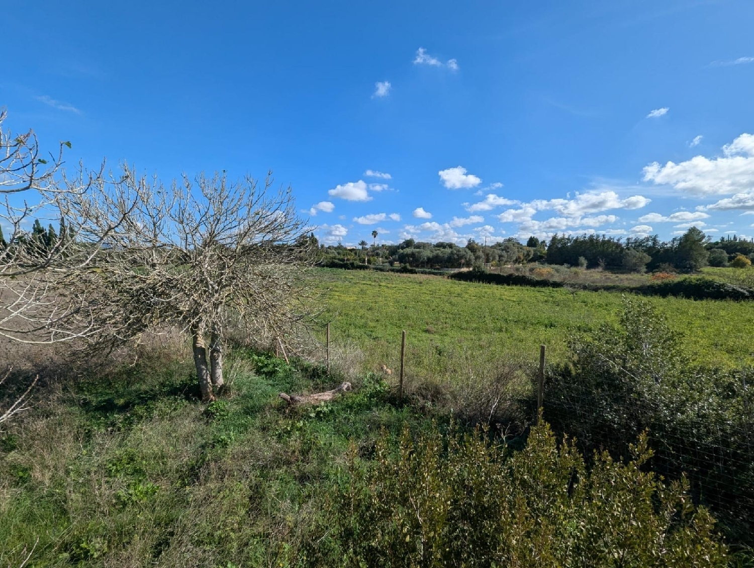  en venta casa Manacor Llevant 5