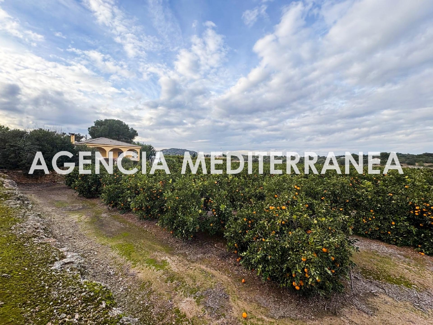  kaufen Haus Manises Horta Oest 4