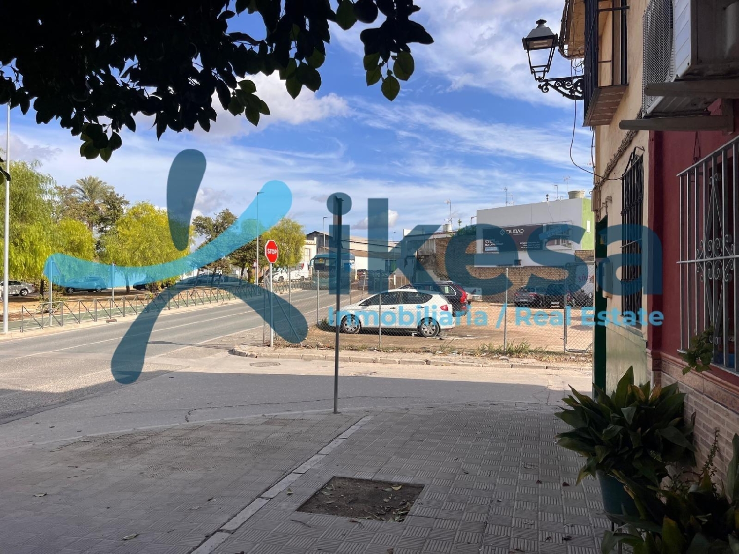  for sale house Marchena Campiña De Morón Y Marchena 2