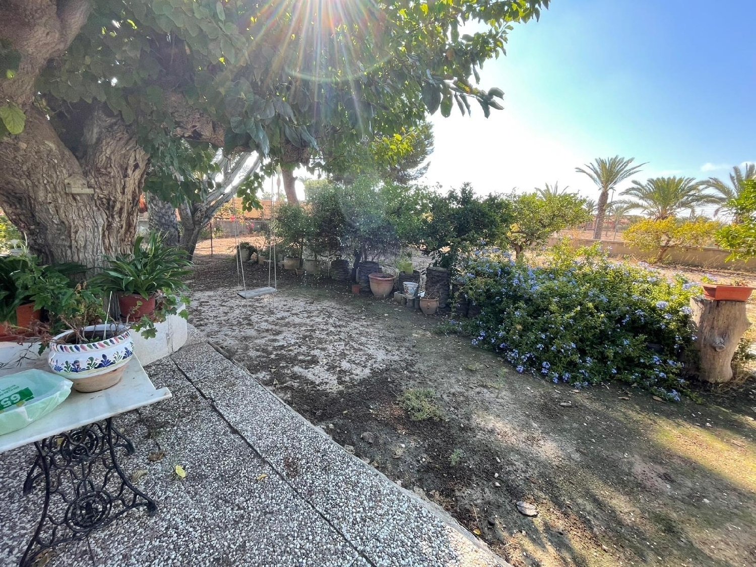  à vendre maison Matola Baix Vinalopó 4