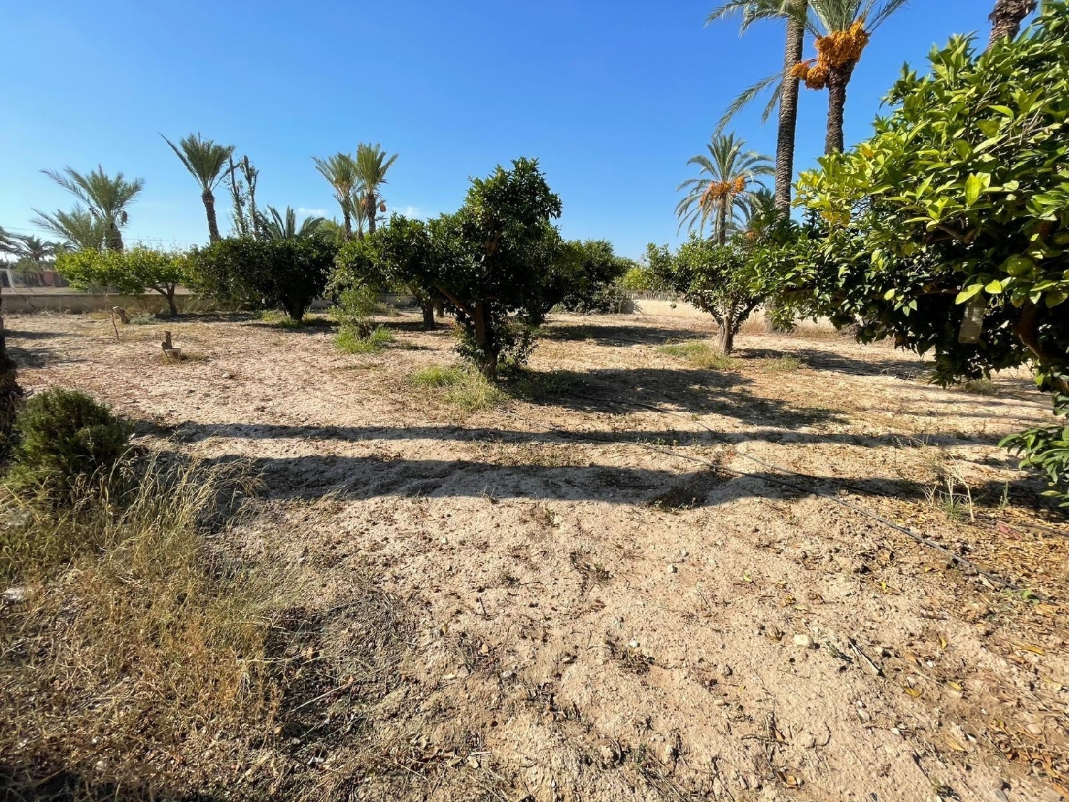  à vendre maison Matola Baix Vinalopó 8