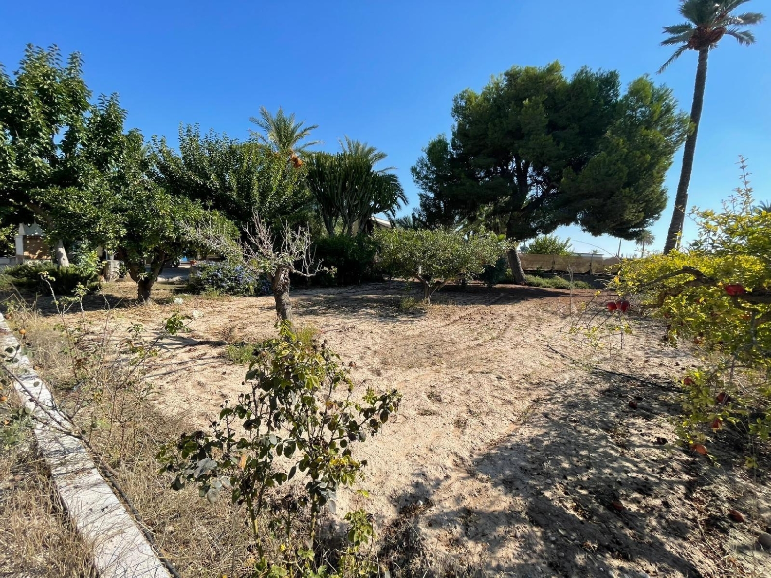  à vendre maison Matola Baix Vinalopó 7