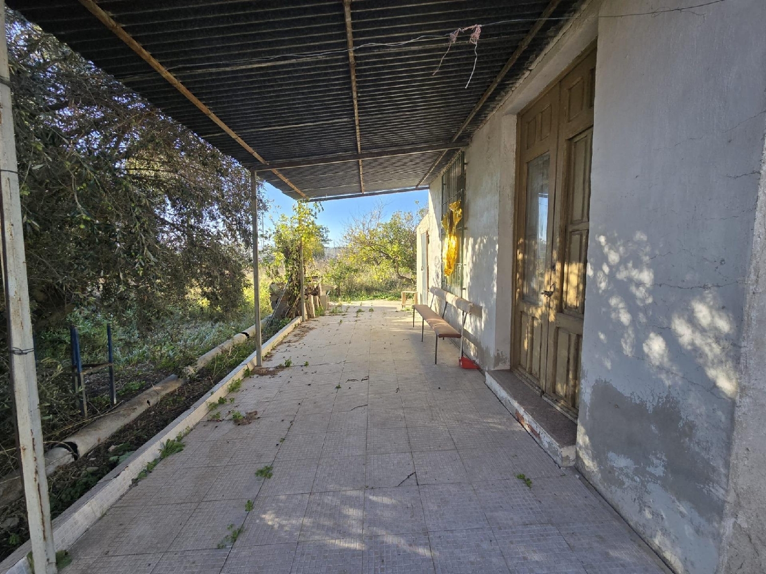  en venta casa Molina De Segura Vega Media Del Segura 3