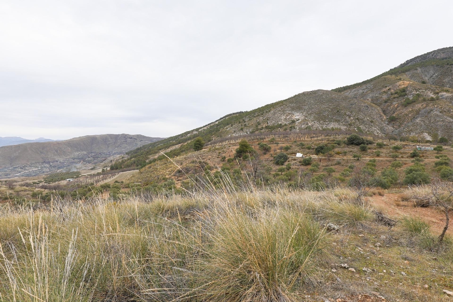  for sale house Monachil Vega De Granada 7