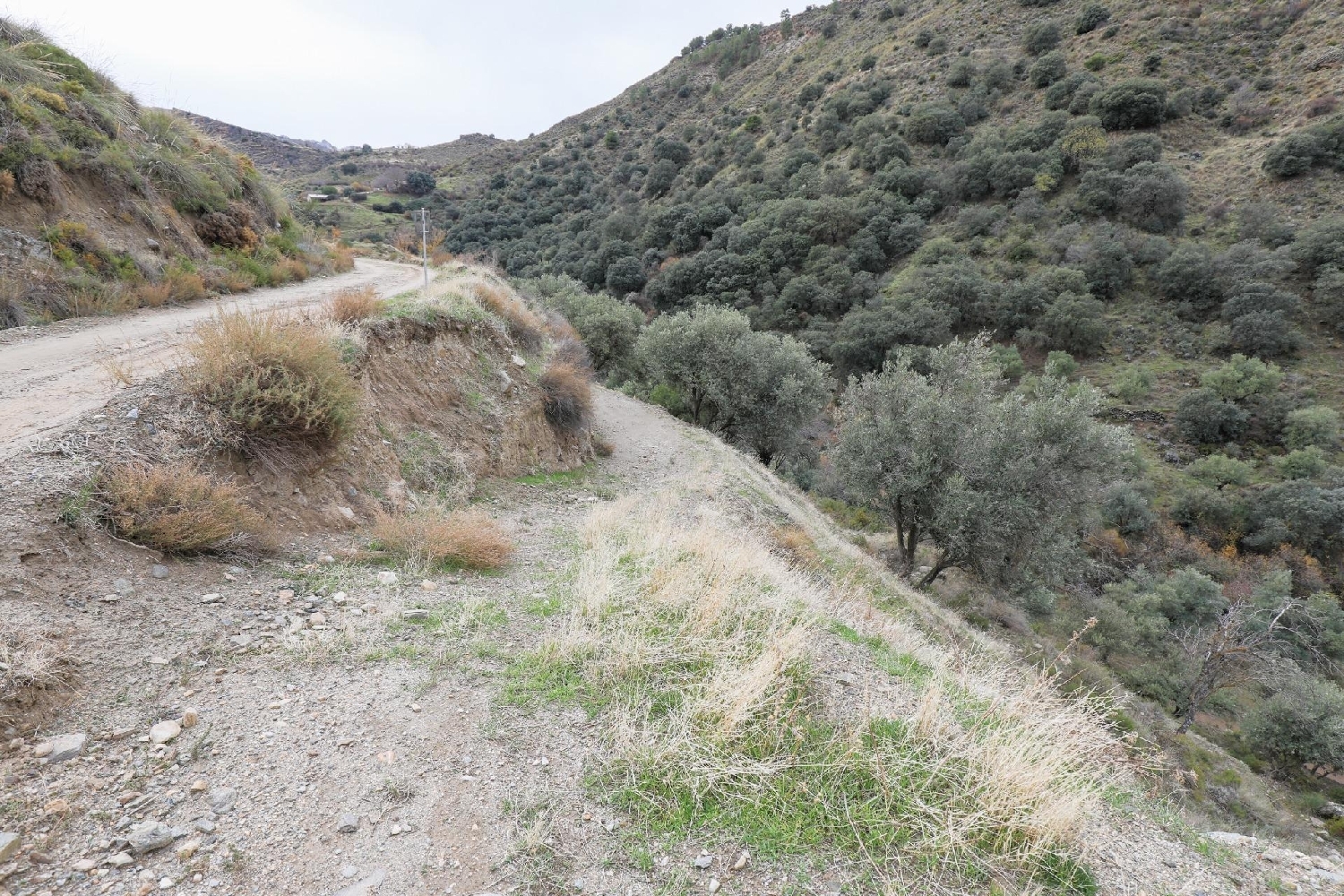  for sale house Monachil Vega De Granada 3