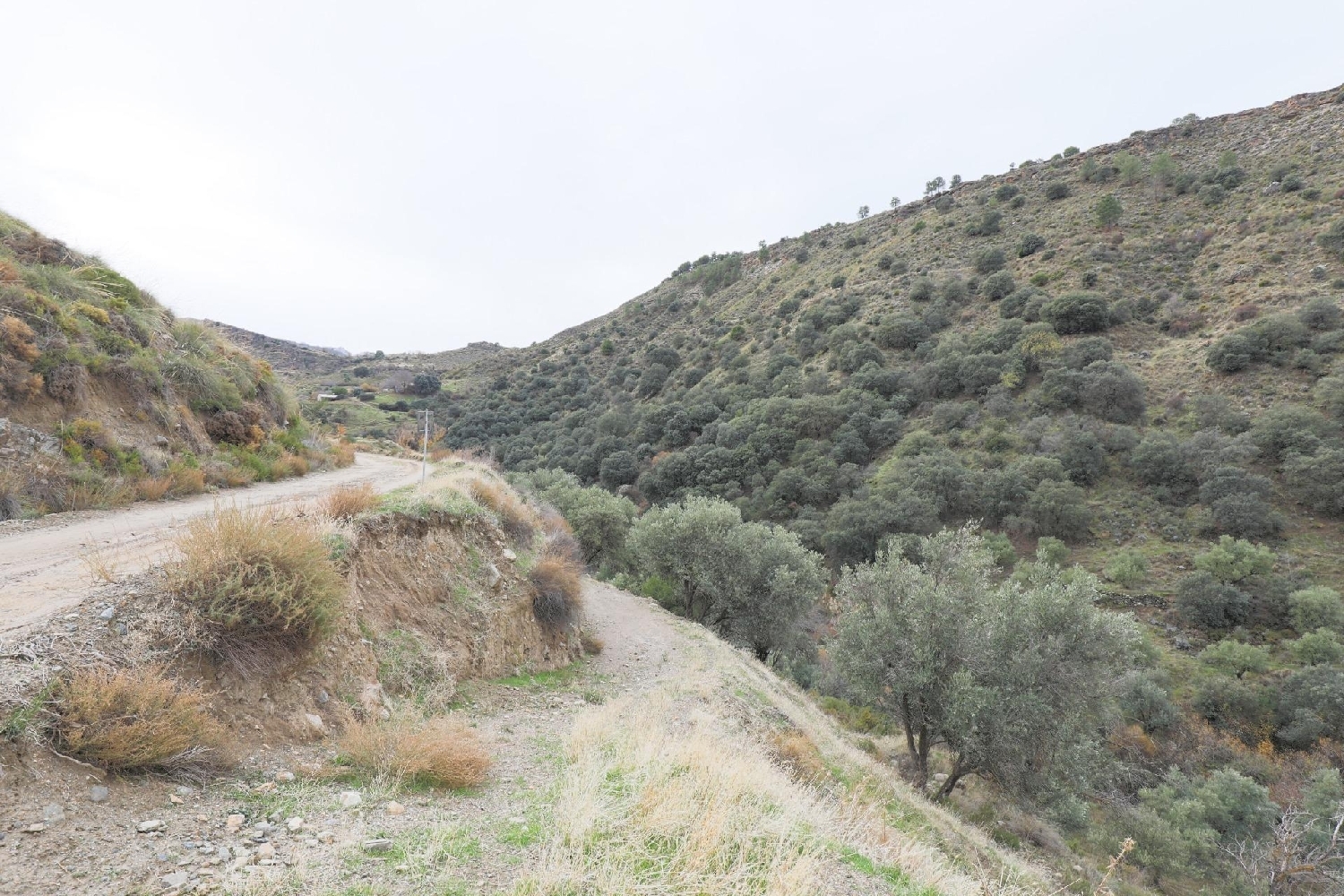  for sale house Monachil Vega De Granada 4