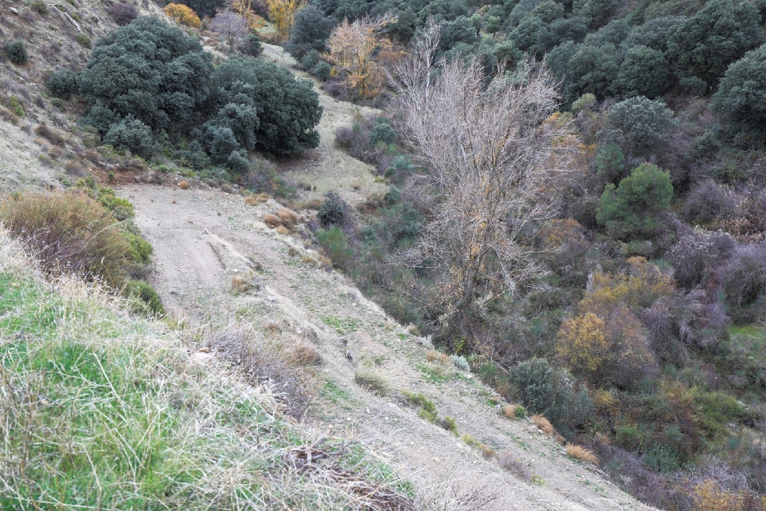  for sale house Monachil Vega De Granada 8