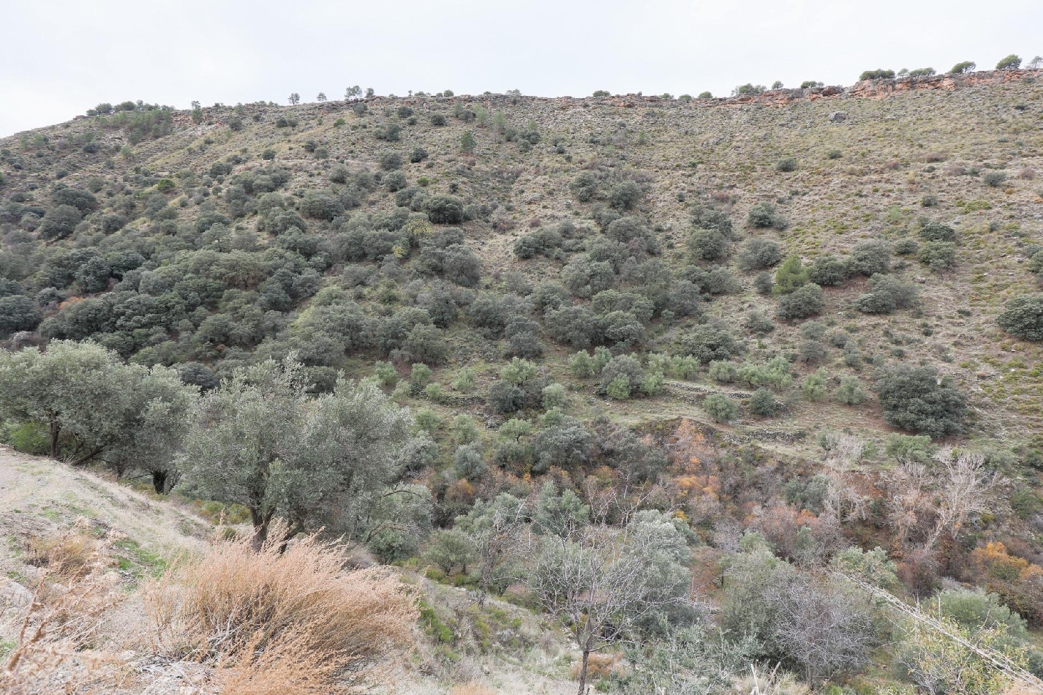  for sale house Monachil Vega De Granada 2