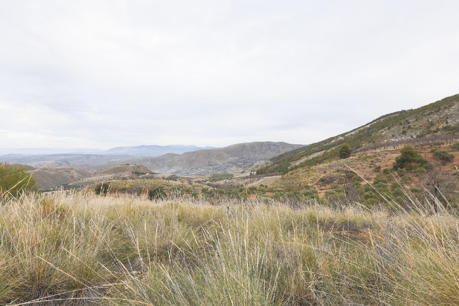  for sale house Monachil Vega De Granada 8